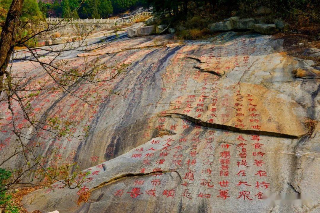 果冻向上跳